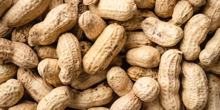 Scientists discover a new drug that can prevent peanut allergy-induced anaphylaxis