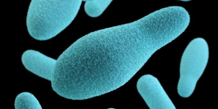 Researchers Discover Mechanism to Prevent Antibiotic Resistance