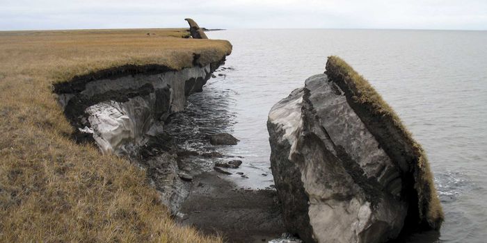 A "Frankenvirus" Was Recovered From the Melting Permafrost - What Could Be Next?
