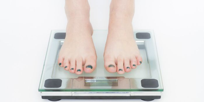 Natural Molecule Enables Obese Mice to Shed Weight