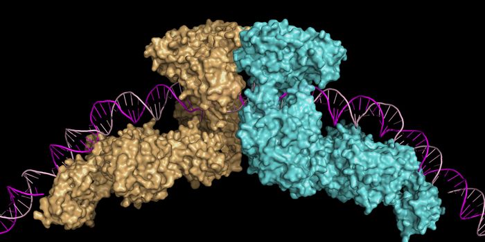 DNA Collision Report: Mutagenesis in the Promoter