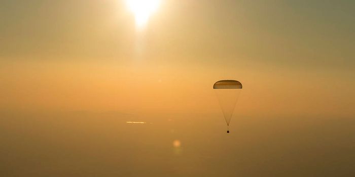 After Breaking a Record, NASA Astronaut Jeff Williams is Back on Earth