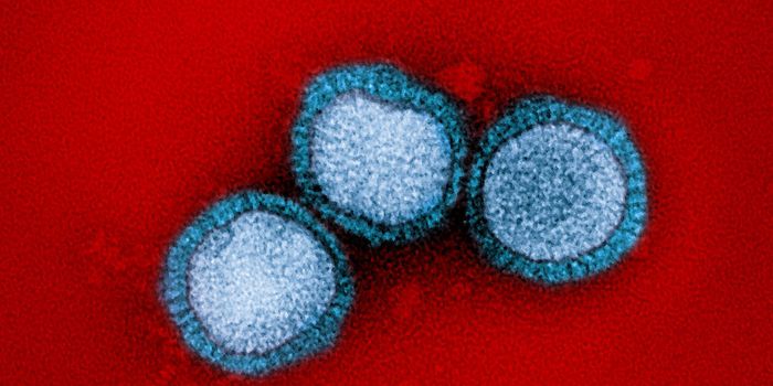 Are Viral Infections Leading to Neurodegenerative Diseases?