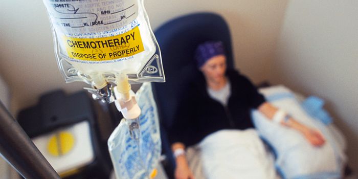 What Causes Chemotherapy-Induced Heart Damage?