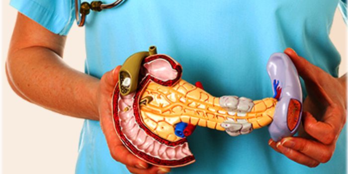 Scripps Florida Scientists Develop Drug Discovery Approach to Predict Health Impact of Endocrine-Disrupting Chemicals