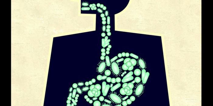 Early Research Makes Connection Between Liver Tumor Growth Control and Gut Microbiota