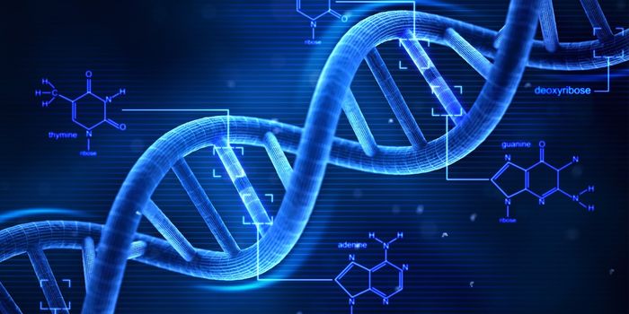 New Genetic Clues Emerge on Origin of Hirschsprung's Disease