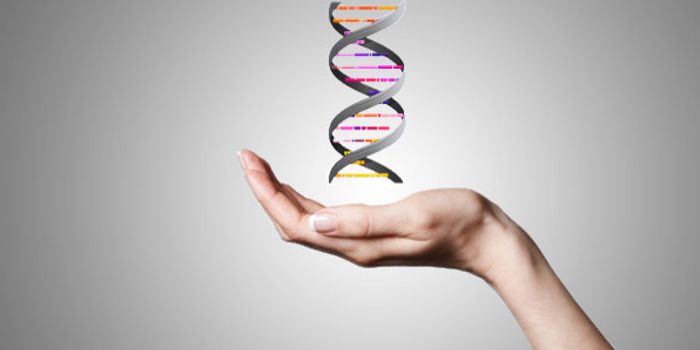 Identifying New Drug Targets in Therapy-Resistant Cancers