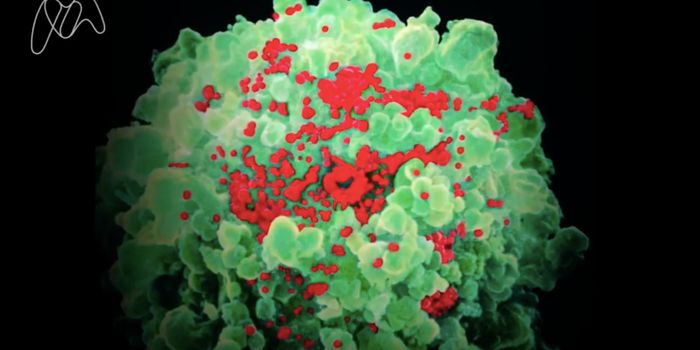 The Challenge of Creating a Vaccine for HIV