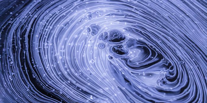 Caught on Tape: Immune Cells Migrating From the Gut to the Brain