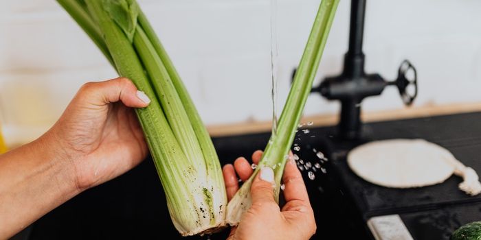 Medication made from celery seed improves stroke outcomes after clot treatment