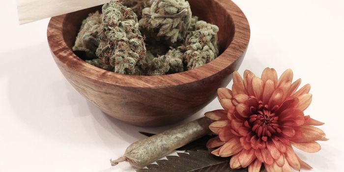 Menopausal Women Find Relief in Cannabis
