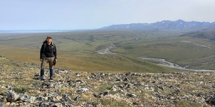 Unveiling the Role of Permafrost in Shaping Arctic Watersheds