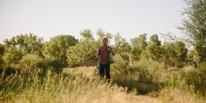 Researchers Find That Rift Valley Fever Can Spread in US Livestock