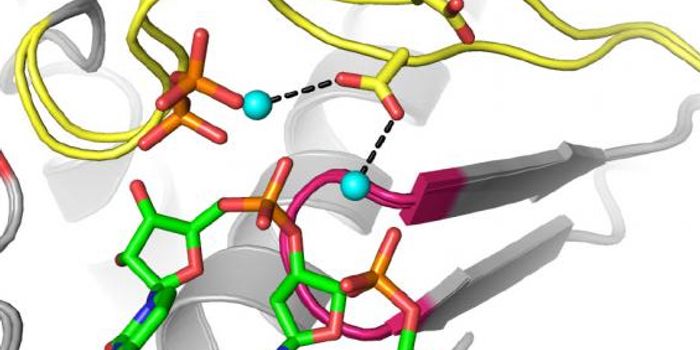 Genetic Modification Makes Virus Inactive