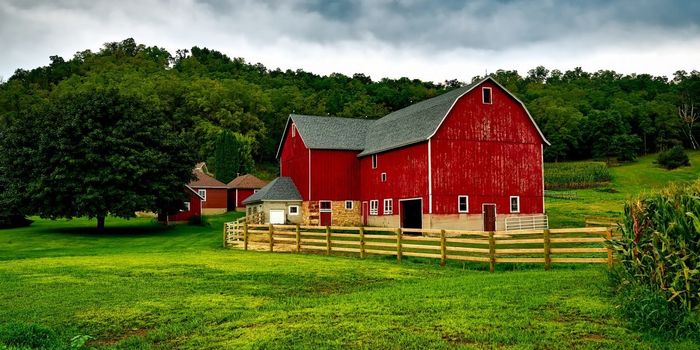 We Already Have the Ingredients for the Next Food Revolution