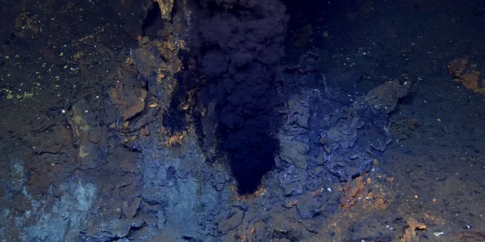 Life Finds a Way in Underwater Volcanoes