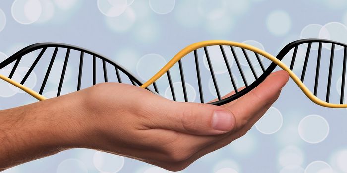 Aging Processes may be Altered by Early-Life Experiences