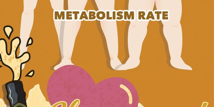 Science on Tap - Understanding Alcohol's Relationship With the Brain