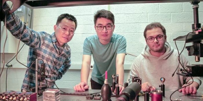 The Vision of Artificial Vision