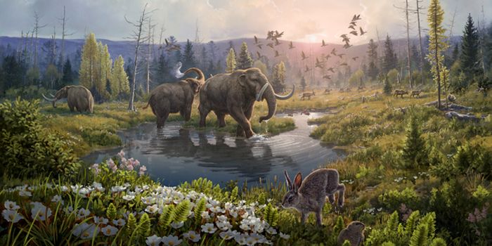 The Oldest Known DNA, From Many Organisms, is Discovered & Described