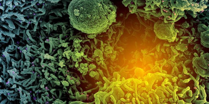 A COVID-19 Vaccine Booster Now Recommended for Immunocompromised People