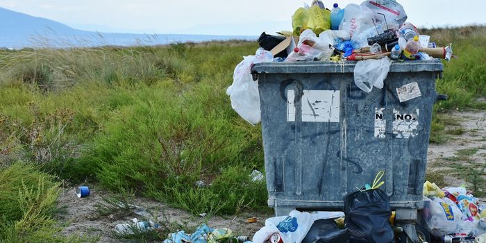 New Plastic Eating Fungi & Microbes are Discovered in a 'Plastisphere'