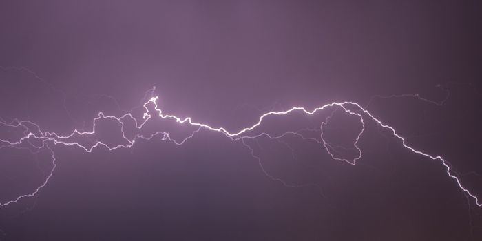 New Electroceutical Device Targets Splenic Nerves For Therapeutic Benefit