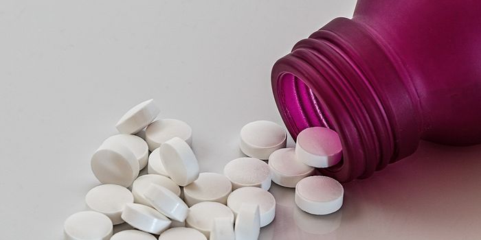 The Immune System: A New Hope for Opioid Addiction?