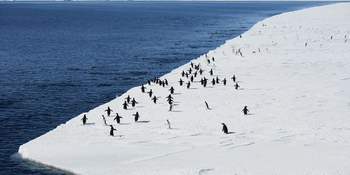 How much can 1 more degree really hurt?