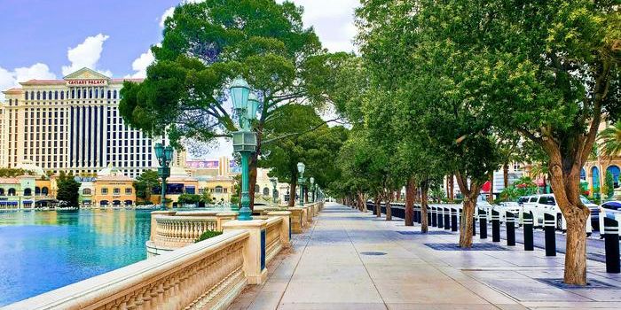 Simulating Shade: Researchers Model Tree Impact on Vegas Heat