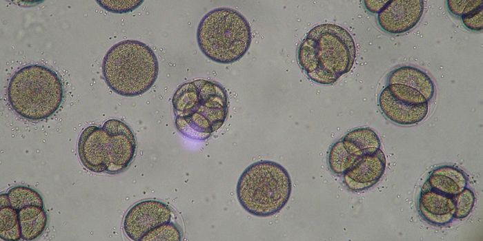 Light-Activated Nanoscale Drills Can Penetrate Bacteria