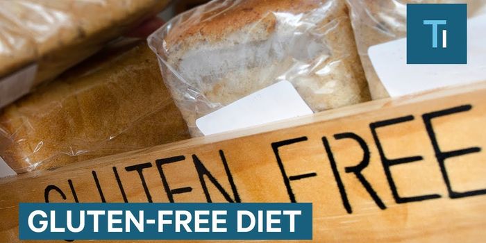 How a Gluten-Free Diet Can Harm More than Help