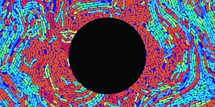 Electricity Can Have a Surprising Effect on Biofilms