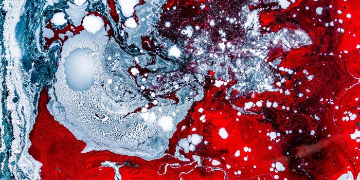 Human Stem Cells Cure Type 1 Diabetes in Mice