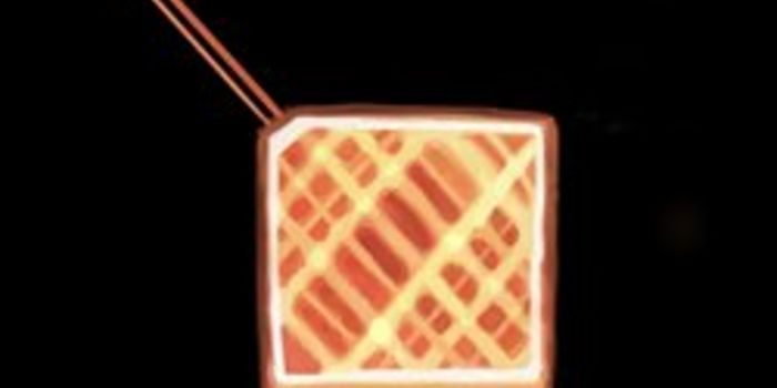 Nuclear Physics Group Examines New Physics in Neutrons