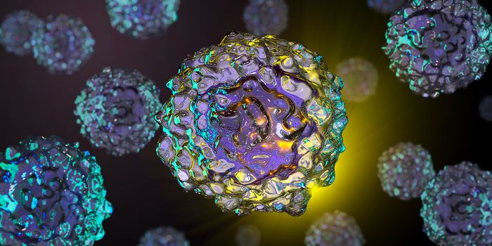 Optimizing iPSC Culture and Characterization with Live‑Cell Analysis
