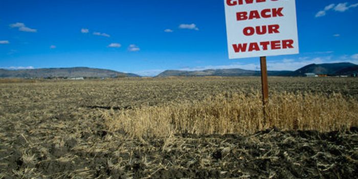 The Water Pollution Epidemic