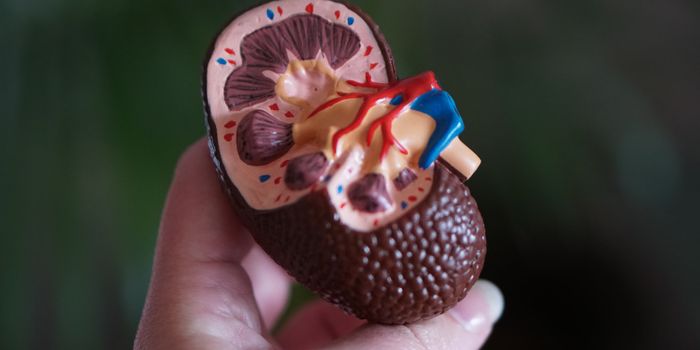 Diabetic Drugs Offer Protection Against Kidney Failure