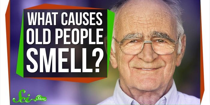 The Source of That 'Old Person Smell'