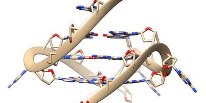 Rare Quadruple Helix DNA Found in Live Human Cells