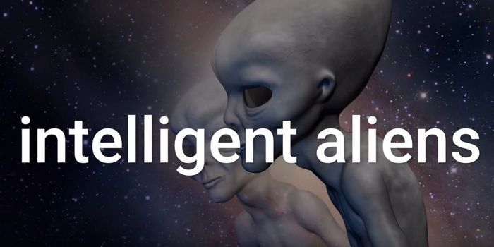 What Would We Even Do If We Found Aliens?