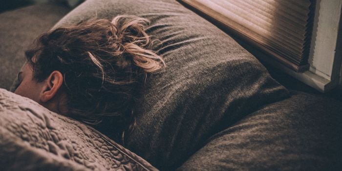 The Brain Replays Waking Experiences While You Sleep