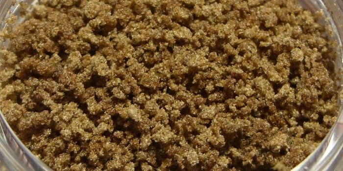 Cautionary Tale: Double Check Your Area Medical Marijuana Laws