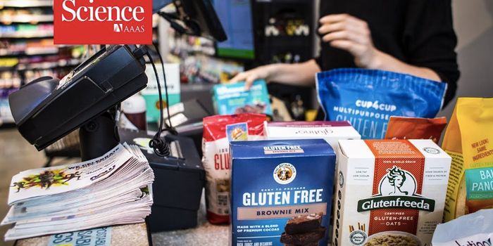 What's up With Gluten?