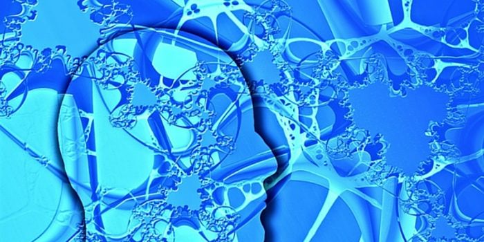 Making New Connections In The Nervous System