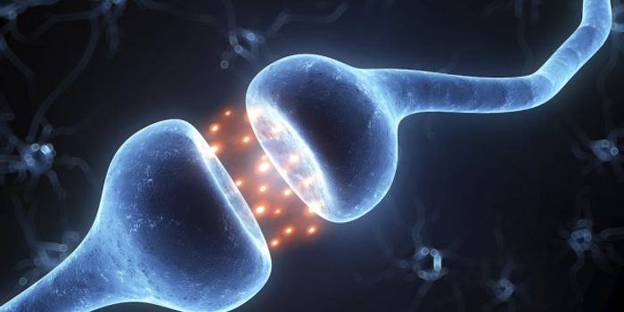 Meet the ‘Wikipedia' for neurons: NeuroElectro