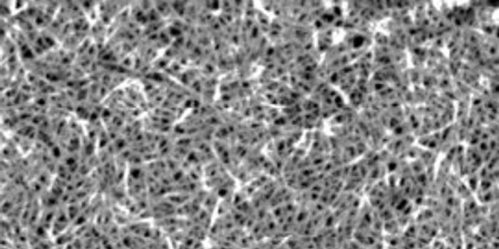 Modeling of Cellulose Nanocrystals Suggests Amazing Strength