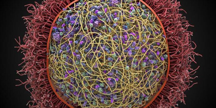 Science is on the Verge of Modelling Cells on a Computer