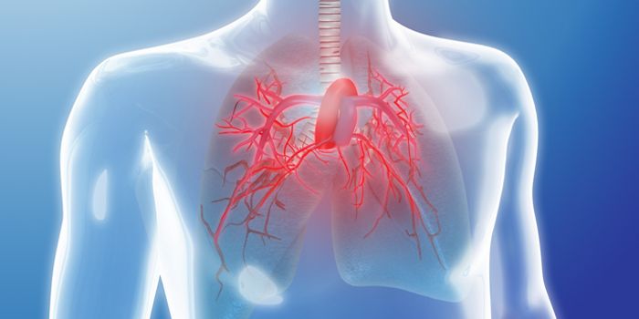 Gene Therapy For Treating Pulmonary Hypertension